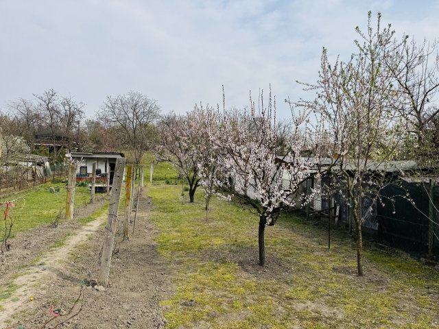 Eladó mezogazdasagi ingatlan, Budapesten, XXI. kerületben 29.9 M Ft
