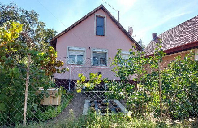 Eladó mezogazdasagi ingatlan, Tiszajenőn 15.49 M Ft, 1 szobás