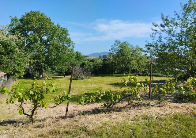 Eladó családi ház, Csobajon 6 M Ft, 2 szobás