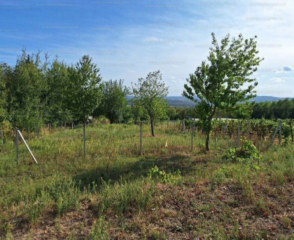 Eladó telek, Zalaszántón 4.9 M Ft / költözzbe.hu