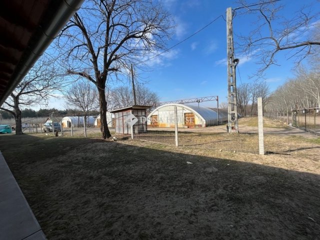 Eladó mezogazdasagi ingatlan, Bugacon 170 M Ft