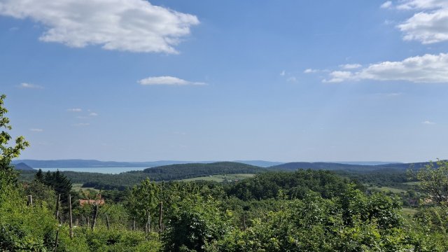 Eladó telek, Balatonszőlősön 35 M Ft / költözzbe.hu