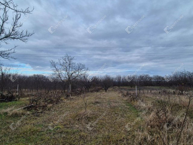 Eladó telek, Sülysápon 25.99 M Ft / költözzbe.hu