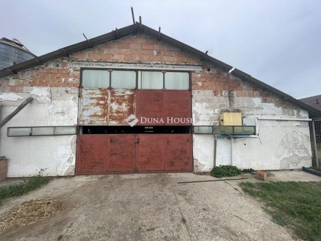 Eladó mezogazdasagi ingatlan, Domaszéken 160 M Ft