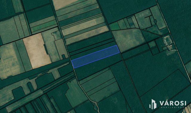 Eladó mezogazdasagi ingatlan, Kemenesmagasin 9.85 M Ft