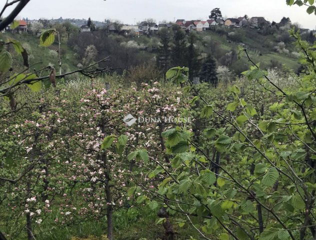 Eladó telek, Zalaegerszegen 8 M Ft / költözzbe.hu