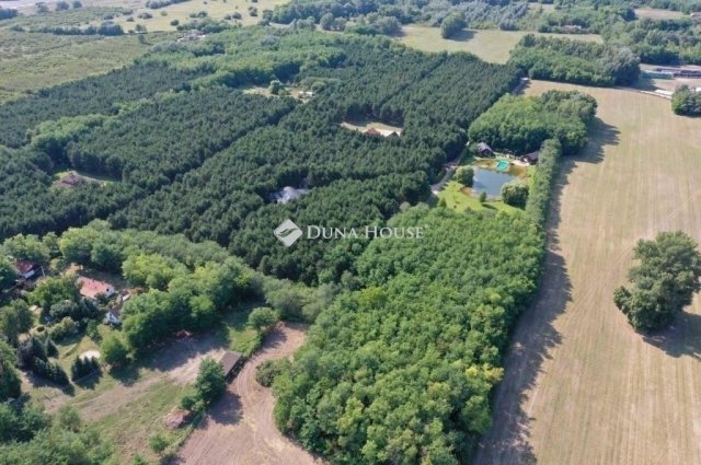 Eladó családi ház, Kecskeméten 379 M Ft, 10 szobás