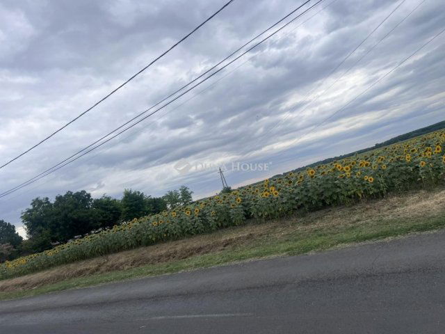 Eladó telek, Tápiógyörgyén 6.9 M Ft / költözzbe.hu