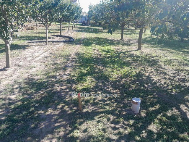 Eladó telek, Zsámbékon 40 M Ft / költözzbe.hu