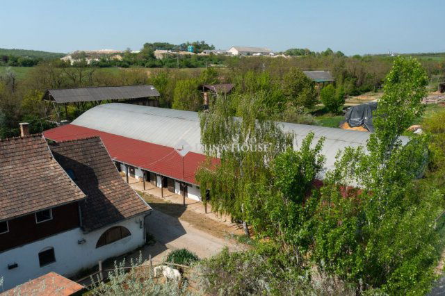 Eladó mezogazdasagi ingatlan, Zsámbékon 248 M Ft