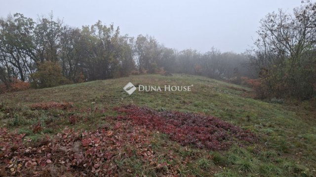 Eladó telek, Balatonszőlősön 39.9 M Ft / költözzbe.hu