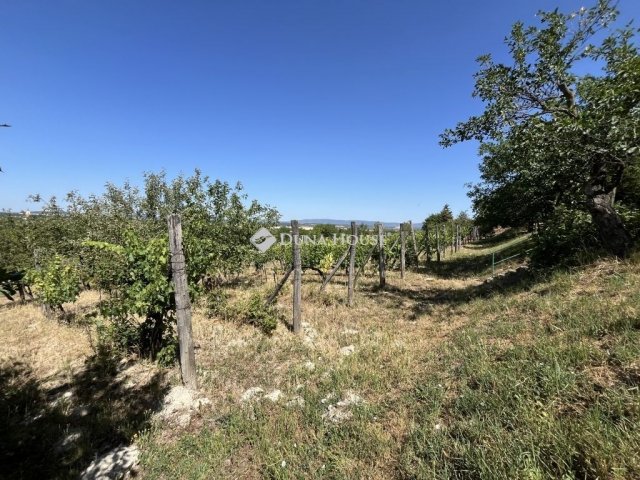 Eladó mezogazdasagi ingatlan, Berhidán 12.5 M Ft, 1 szobás