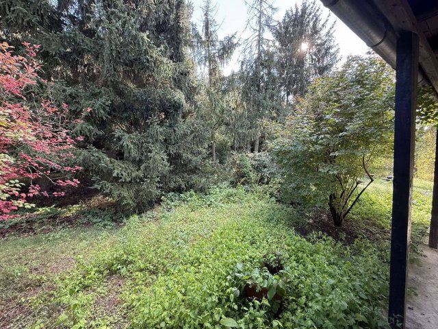 Eladó mezogazdasagi ingatlan, Napkoron 14 M Ft, 3 szobás