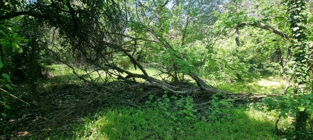 Eladó telek, Érden 69.5 M Ft / költözzbe.hu