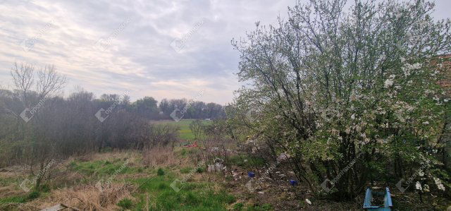 Eladó telek, Bodrogolasziban 2.5 M Ft / költözzbe.hu