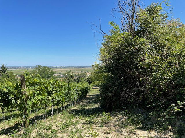 Eladó mezogazdasagi ingatlan, Győrújbaráton 5.99 M Ft