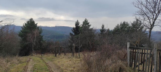 Eladó telek, Karancsalján 5 M Ft / költözzbe.hu