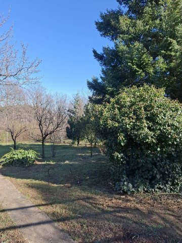 Eladó telek, Budaörsön 39 M Ft / költözzbe.hu