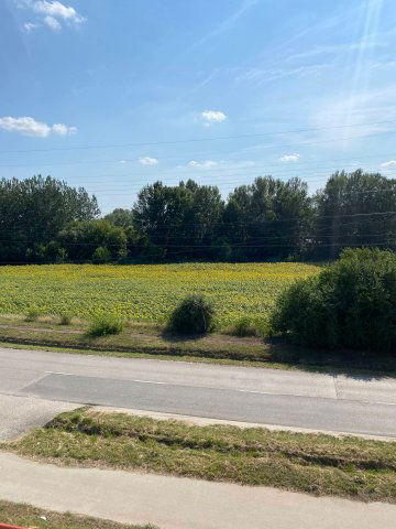 Kiadó téglalakás, albérlet, Tatabányán 80 E Ft / hó, 1 szobás