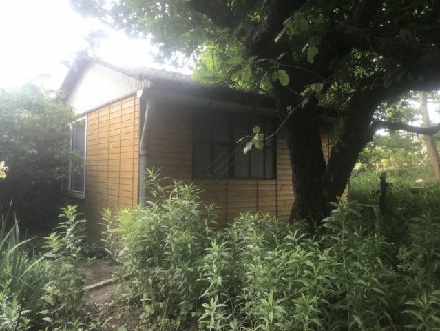 Eladó mezogazdasagi ingatlan, Szentesen 6.5 M Ft, 1 szobás
