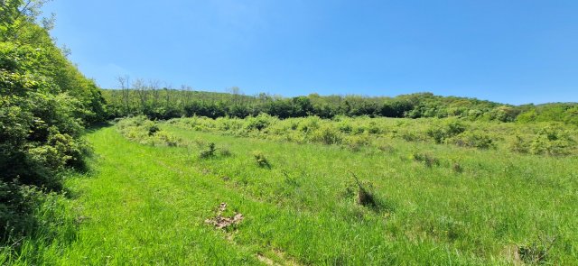 Eladó mezogazdasagi ingatlan, Pilismaróton 7.99 M Ft