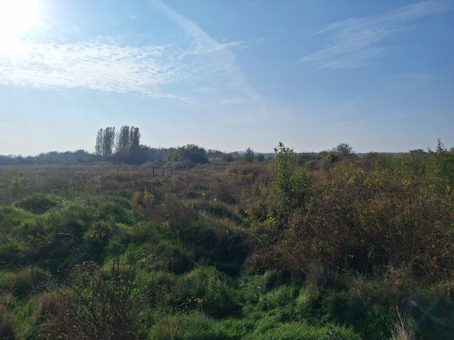 Eladó telek, Balatonfüreden 63 M Ft / költözzbe.hu