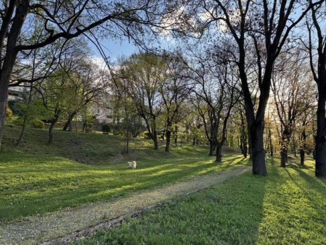 Kiadó téglalakás, albérlet, Budapesten, II. kerületben