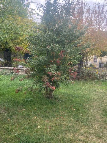 Eladó telek, Budapesten, XV. kerületben, Pázmány Péter utcában