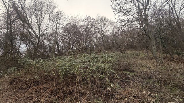 Eladó telek, Leányfaluban 29.9 M Ft / költözzbe.hu