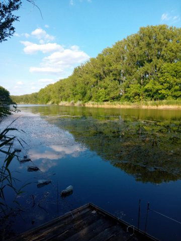 Eladó nyaraló, Mezőtúron 56 M Ft, 2 szobás