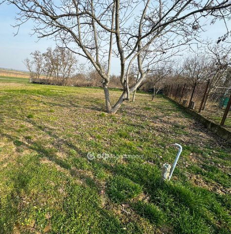 Eladó telek, Tiszaszőlősön 6 M Ft / költözzbe.hu