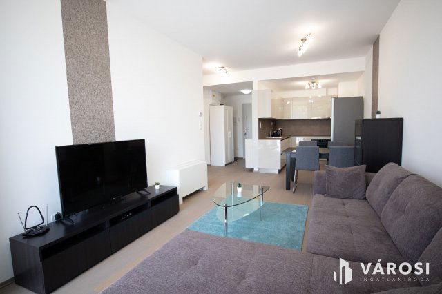 Kiadó téglalakás, albérlet, Szegeden 270 E Ft / hó, 2 szobás