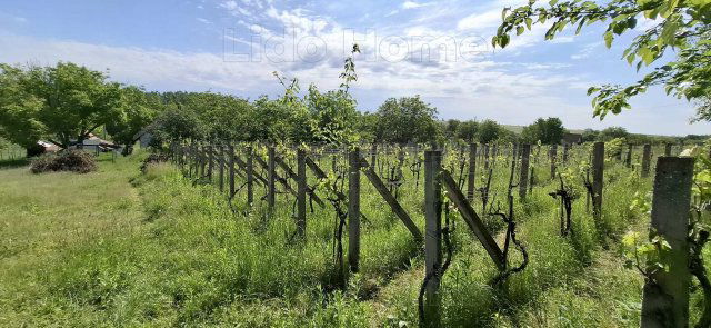 Eladó mezogazdasagi ingatlan, Ádándon 14 M Ft