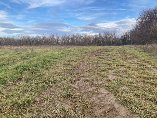 Eladó telek, Bálványoson 6.45 M Ft / költözzbe.hu