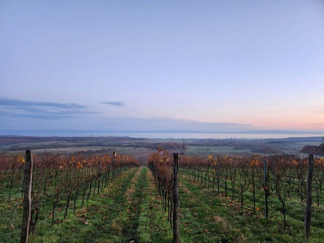 Eladó telek, Szentantalfán 62.99 M Ft / költözzbe.hu