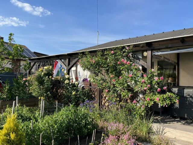 Eladó ikerház, Délegyházán, Vadvirág utcában 129.5 M Ft