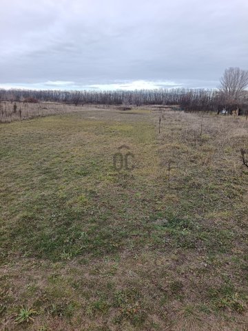 Eladó mezogazdasagi ingatlan, Budapesten, XVII. kerületben 3.9 M Ft