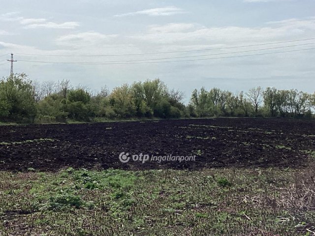 Eladó mezogazdasagi ingatlan, Gyomaendrődön 62.7 M Ft