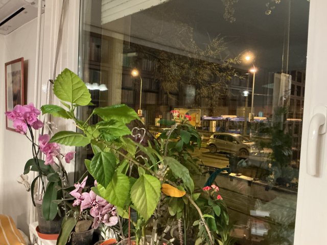 Eladó téglalakás, Budapesten, XI. kerületben 116 M Ft, 4 szobás