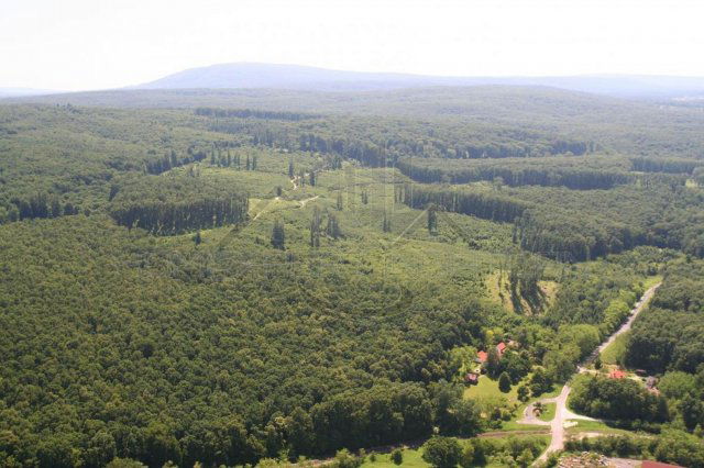 Eladó hotel, Bakonyszentlászlón 287 M Ft / költözzbe.hu