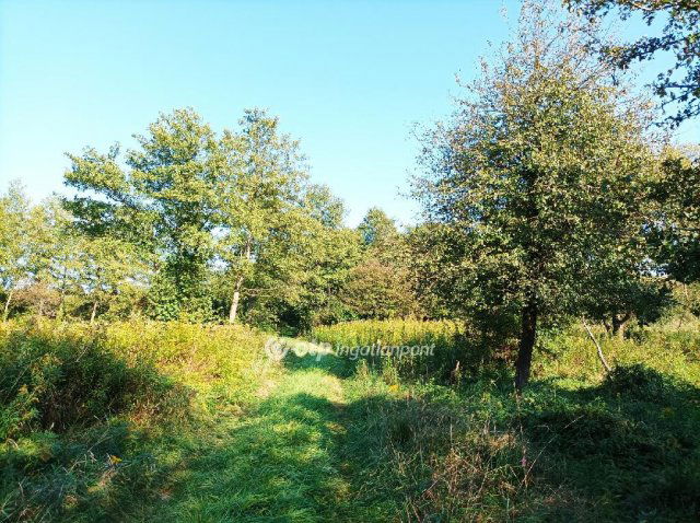 Eladó mezogazdasagi ingatlan, Csabrendeken 45 M Ft