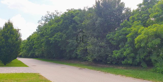 Eladó telek, Debrecenben 100 M Ft / költözzbe.hu