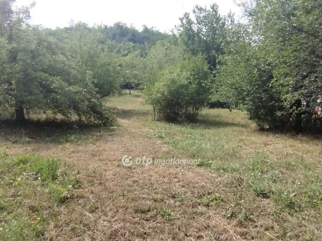 Eladó telek, Zalaszentgróton 3.65 M Ft / költözzbe.hu
