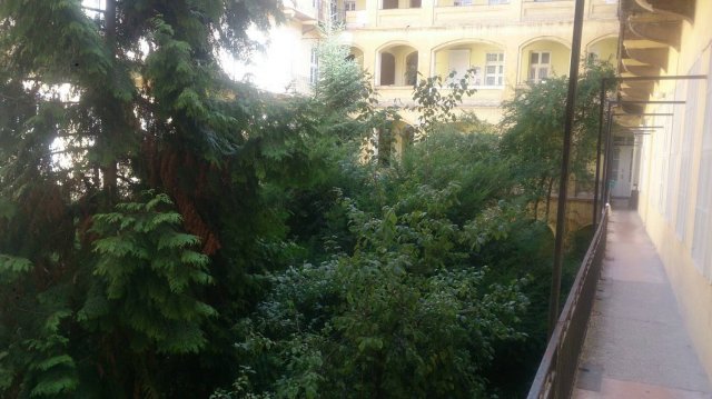 Kiadó téglalakás, albérlet, Budapesten, VI. kerületben