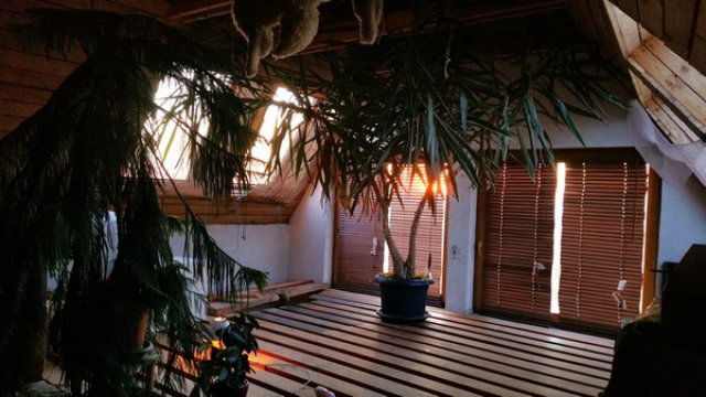 Eladó családi ház, Fóton 199.9 M Ft, 3 szobás