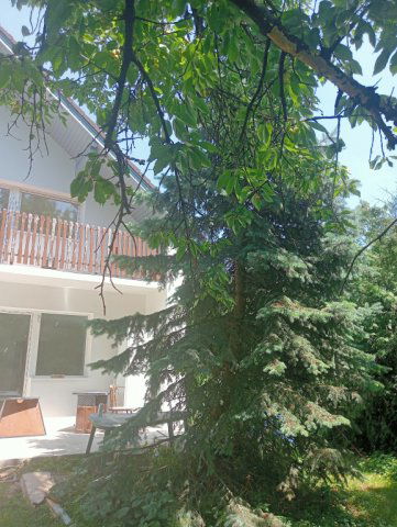Eladó családi ház, Tökölön 98.5 M Ft, 7 szobás