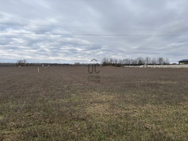 Eladó telek, Hajdúhadházon 1942.78 M Ft / költözzbe.hu