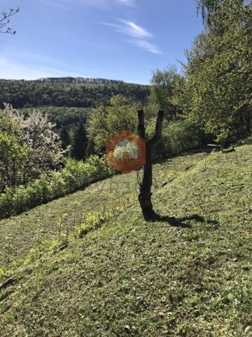 Eladó telek, Orfűn 9.5 M Ft / költözzbe.hu