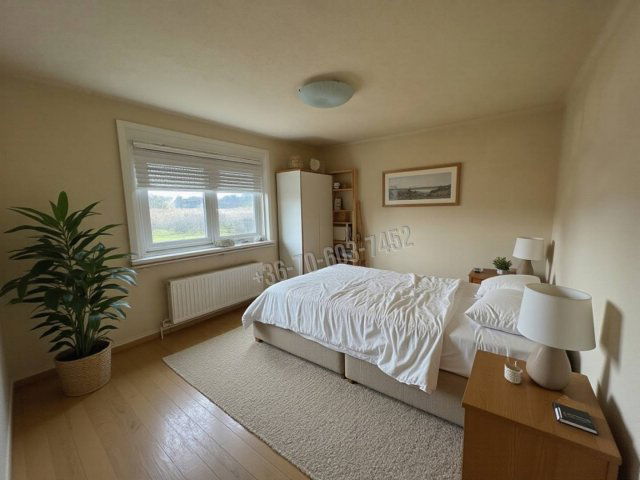 Eladó családi ház, Sződligeten 45 M Ft, 1 szobás