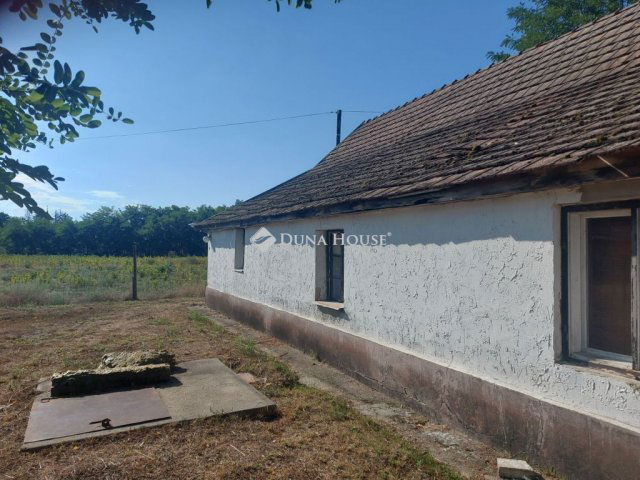 Eladó mezogazdasagi ingatlan, Ágasegyházán, Zsombos dűlőn